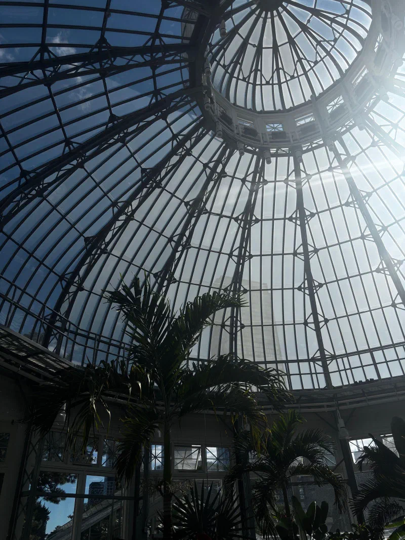 Palm trees under the glass dome of the Palm House at Allan Gardens, Toronto, September 2026.