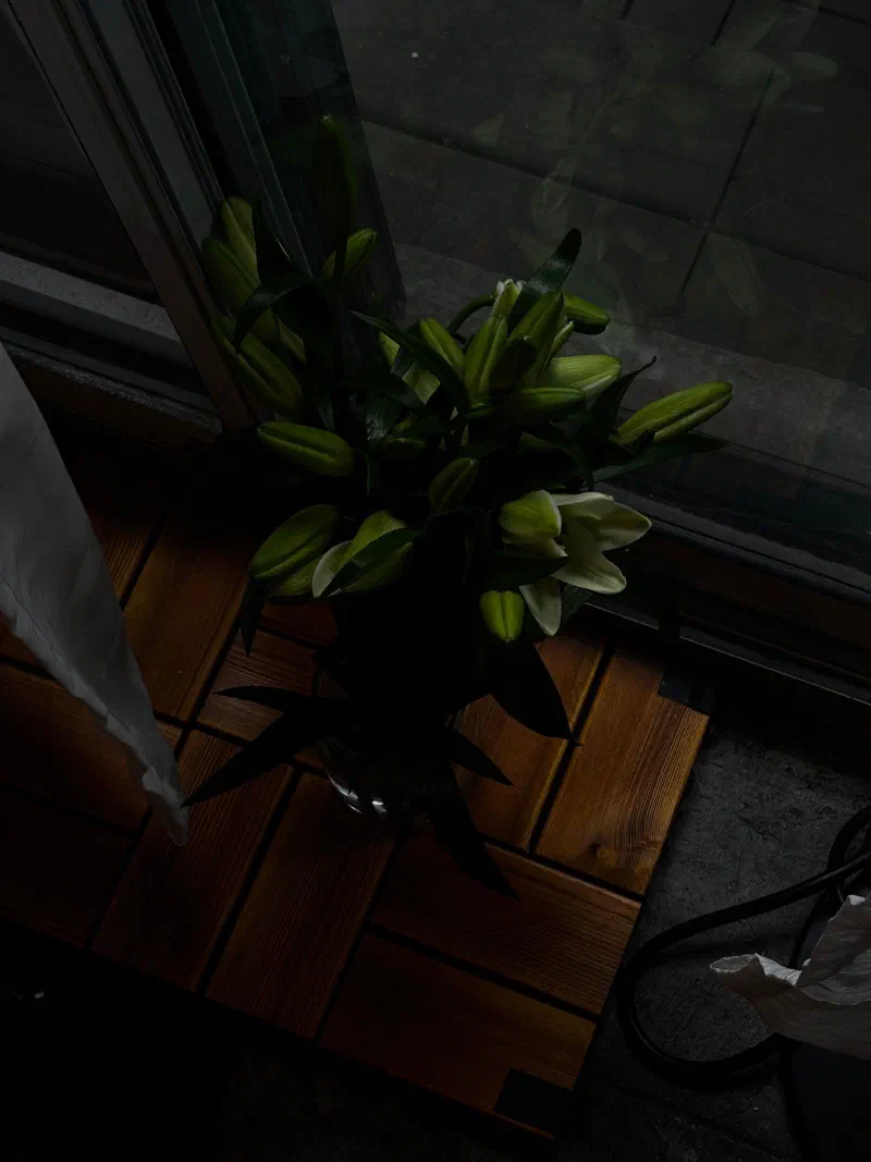 Lilies in a vase by a window, October 2026.