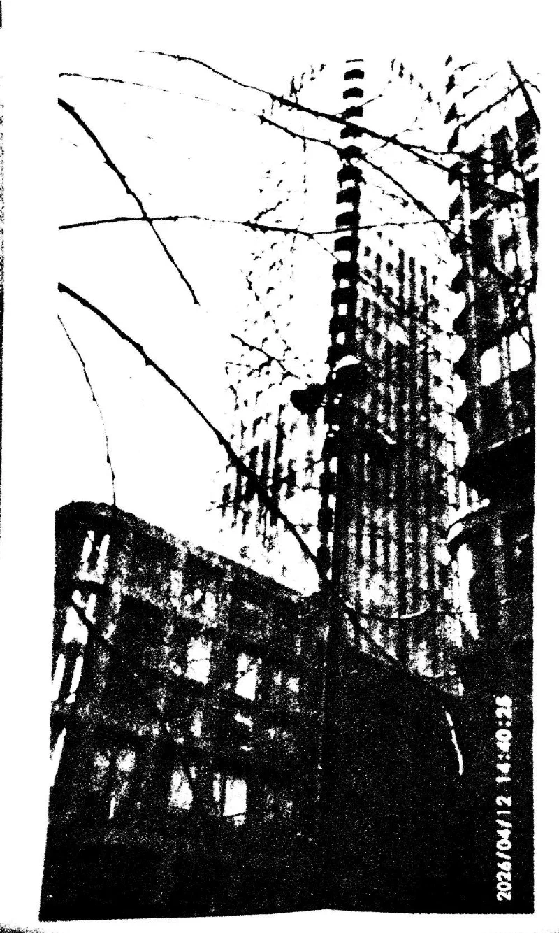 Bare branches across a glass tower and an older brick building, 12 April 2026.