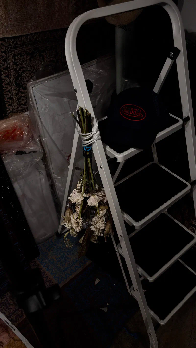 Dried flowers tied to a stepladder in the studio, February 2026.